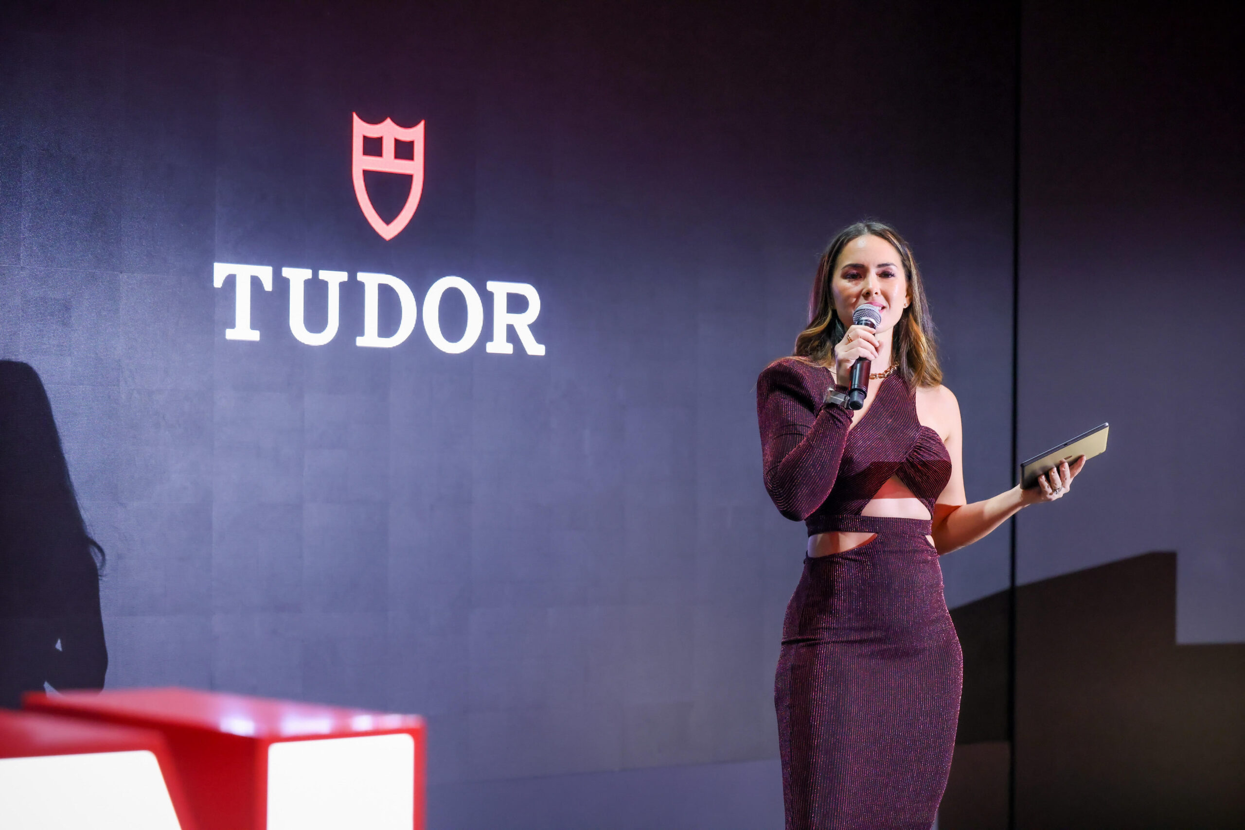 Claire Jedrek hosting Tudor event